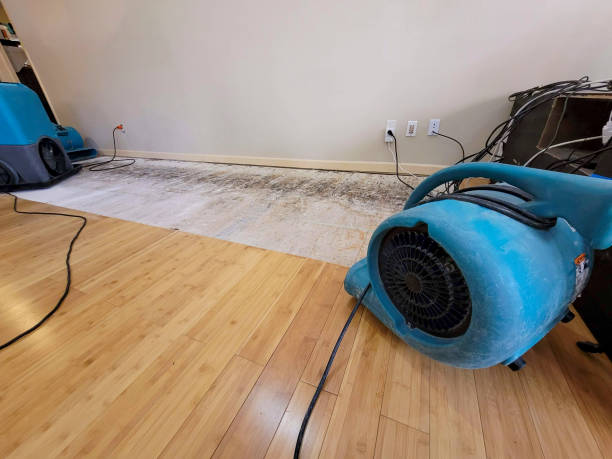 Professional Structural Drying technician working in Darlington, WI